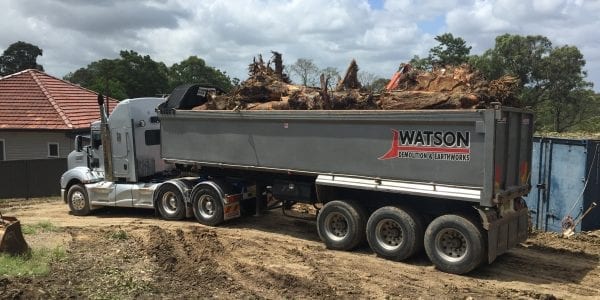Site Clearing and tree removal service