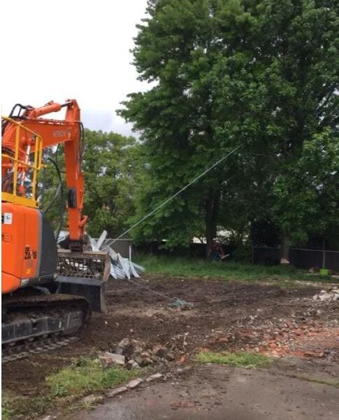 Large Tree Removal Newcastle